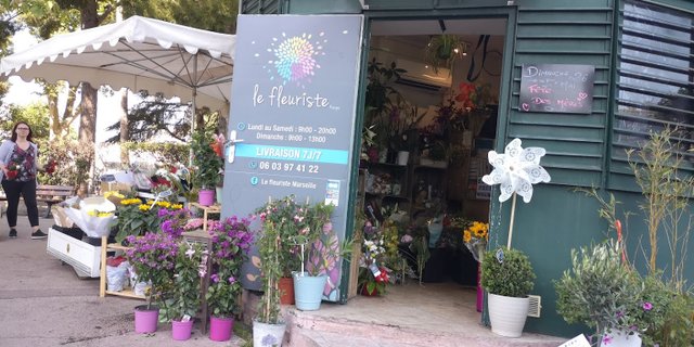 Le Fleuriste 9e Arrondissement - adresse, 🛒 avis clients, horaires de  travail et numéro de téléphone - Magasins à Marseille - Nicelocal.fr